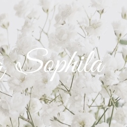 Sophila