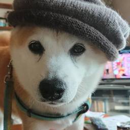yu-kou-bou