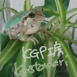 けろたまり* 