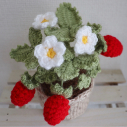 花の庭