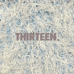 THIRTEEN.
