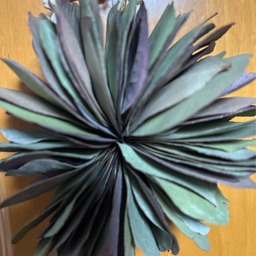 botanicalmk