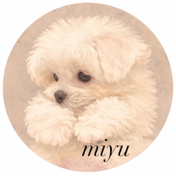 miyu