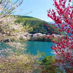 mitukidou