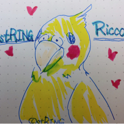 Ricco/(stRING)