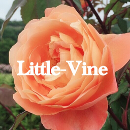 Little-Vine