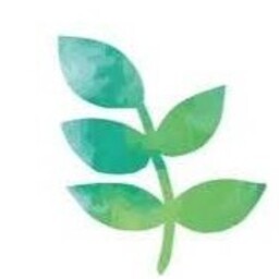 Leaf Kun