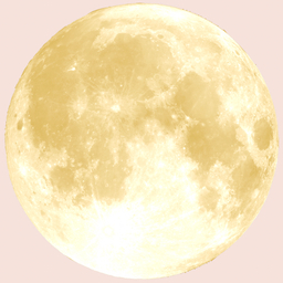 Quiet Luna Co.