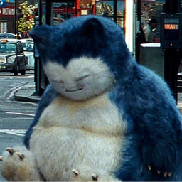 きょう