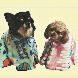 nachurapop