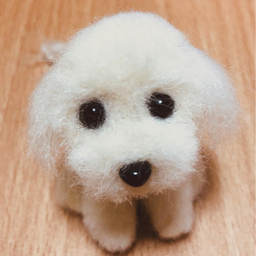 puttu