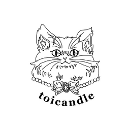 toicandle