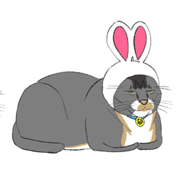 こたつねこ
