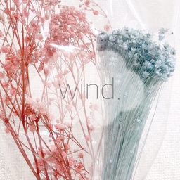 wind.o0