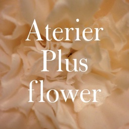 Aterier　Plus flower