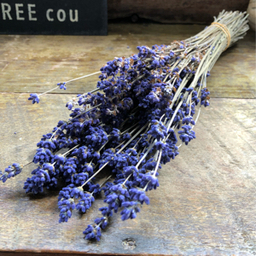 berry-flower