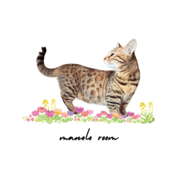 マノロ