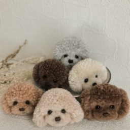 ponponpoodle