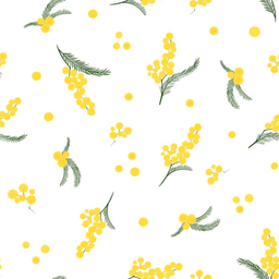 Mimosa  piu