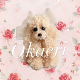 dogokaeri