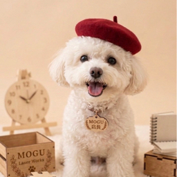 MOGU