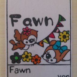 fawn