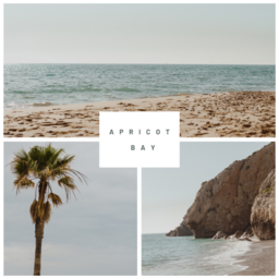 from APRICOT BAY