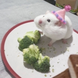 ちゃんえり