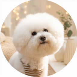 qoochi