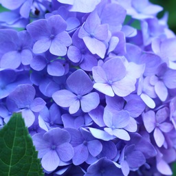 atteler（アトレ）