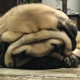 8989