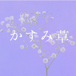 かすみ草