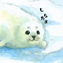 白玉