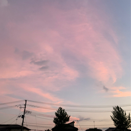くもとつき