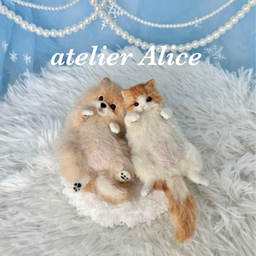 alice-2014