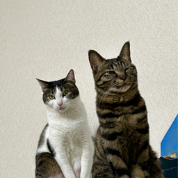 風鈴