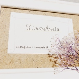 LinoAnela