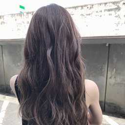 eri0416r