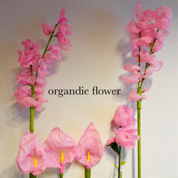 ffffflower