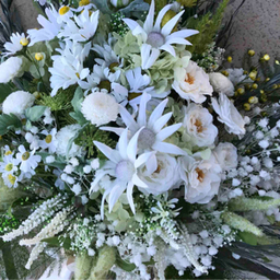 fontaineflower