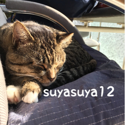 suyasuya12
