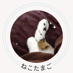 ねこたまご