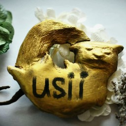 usii
