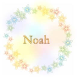 noah2018