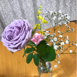 madeinaomori