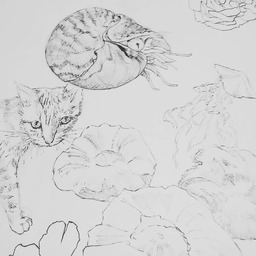 siu _artist