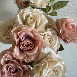 M.bouquet