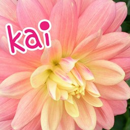 快-kai-