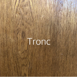 tronc09